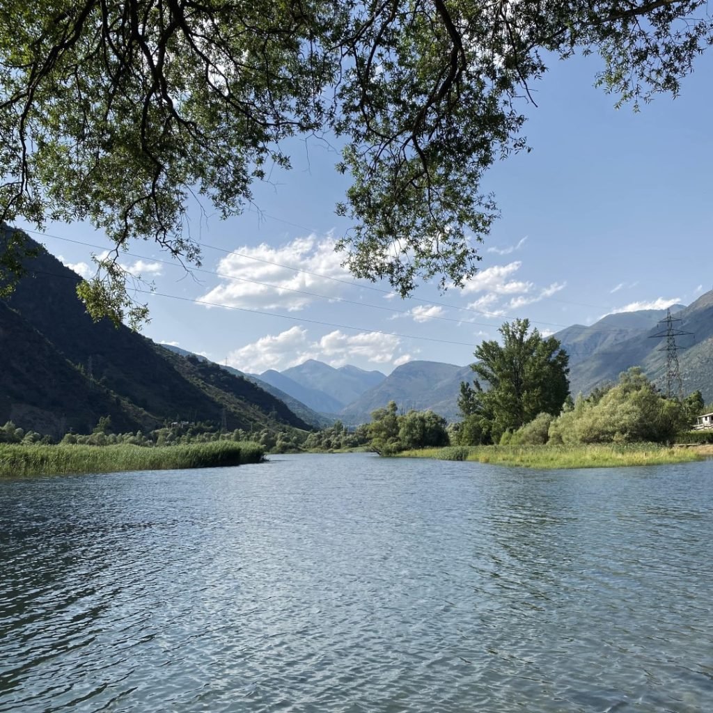 Descubriendo el latido del latido